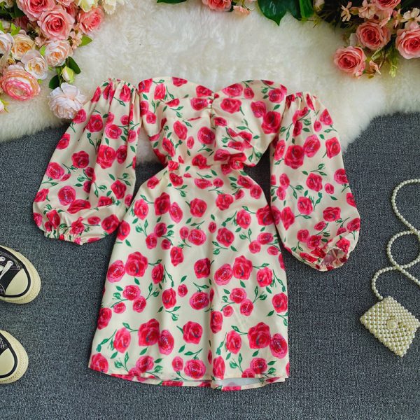 Long sleeve spring new show thin temperament chiffon word brief paragraph off-the-shoulder broken flower skirt