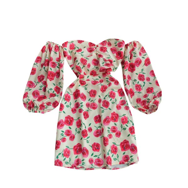 Long sleeve spring new show thin temperament chiffon word brief paragraph off-the-shoulder broken flower skirt - Image 6